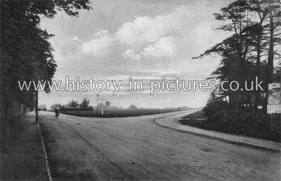 The Plain, Epping, Essex. c.1913